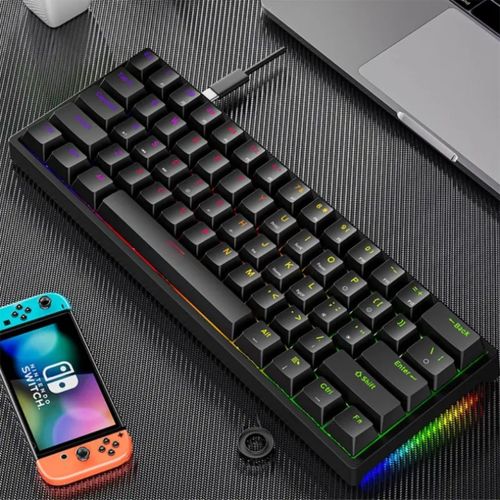 Hot Swappable RGB Backlit 60% Gaming Keyboard, Mechanical Type C Mini Gaming Keyboard Blue Switches Mechanical Keyboard For Computer Gamers