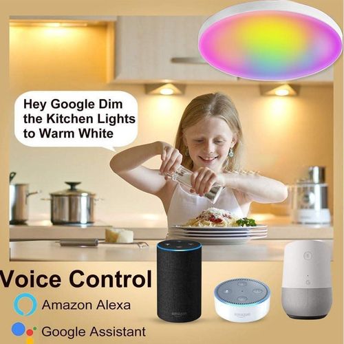 24W WiFi Smart LED Ceiling Light - White, RGB, Remote Control, Dimmable, 2400lm
